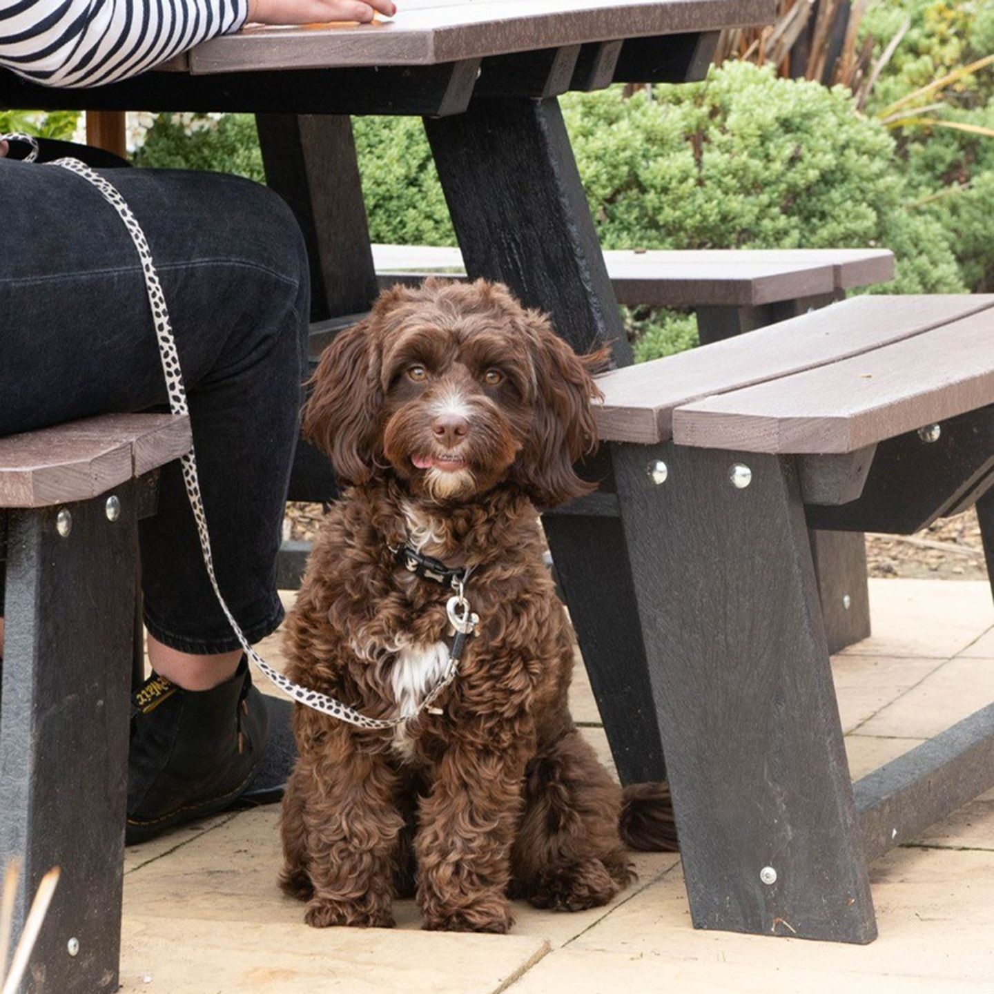 Your local dog friendly pub in Denstone, Uttoxeter